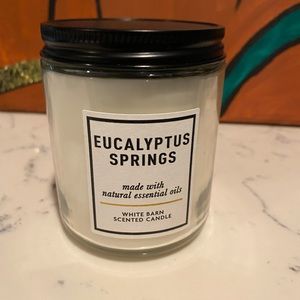 NWT Bath and Body Works Eucalyptus Springs Single-wick